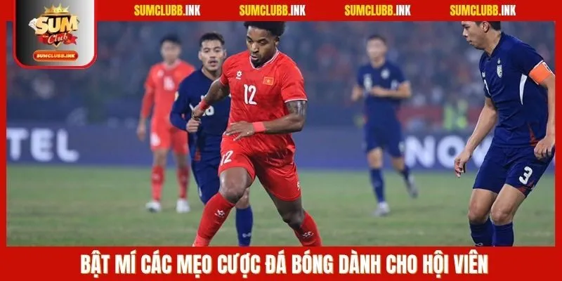 Bật mí các mẹo cược đá bóng dành cho hội viên