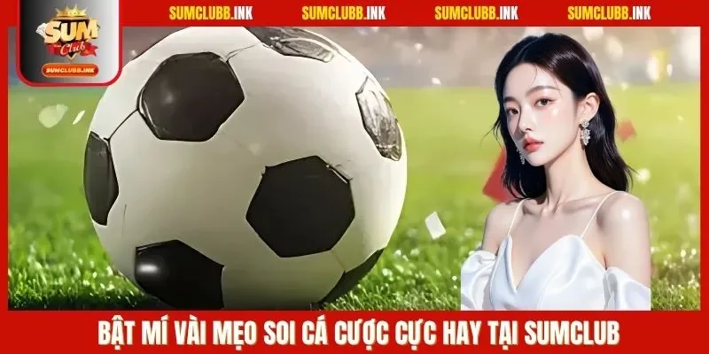 Bật mí vài mẹo soi cá cược cực hay tại SUMCLUB