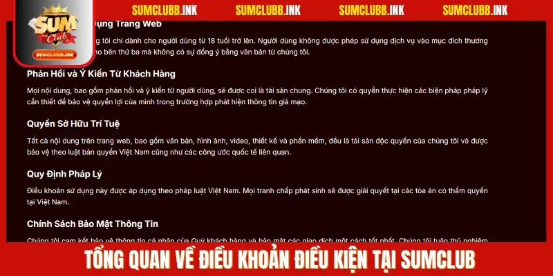 Điều khoản điều kiện là hệ thống quy định nhằm xây dựng sự minh bạch