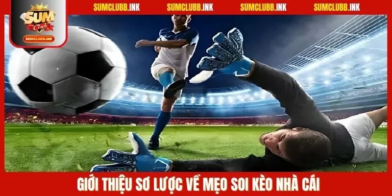 Giới thiệu sơ lược về mẹo soi kèo nhà cái