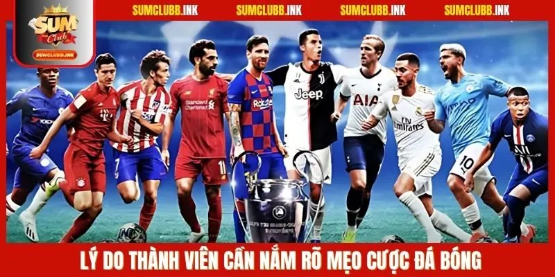 Lý do thành viên cần nắm rõ mẹo cược đá bóng